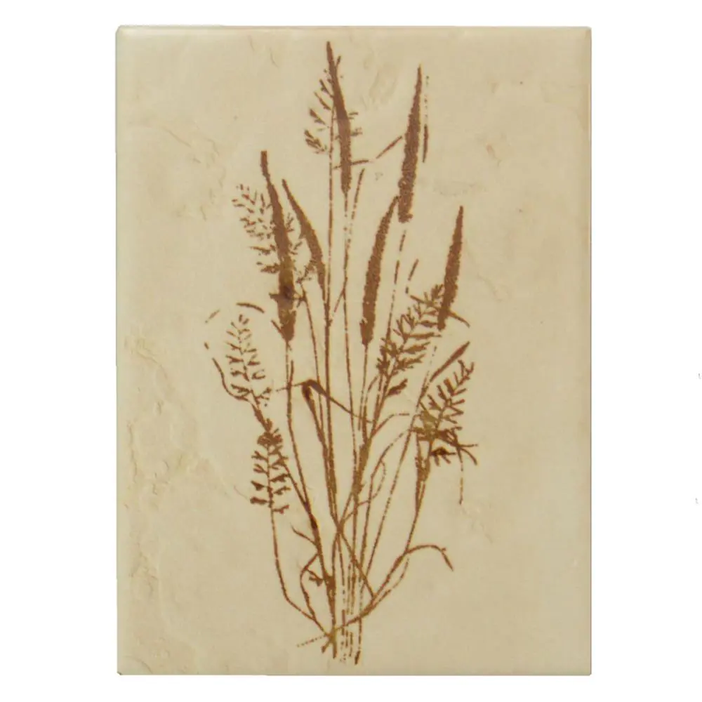 Wandfliese Dekor Grohn E2866 4602 ME110 beige braun 15x20 cm I.Sorte