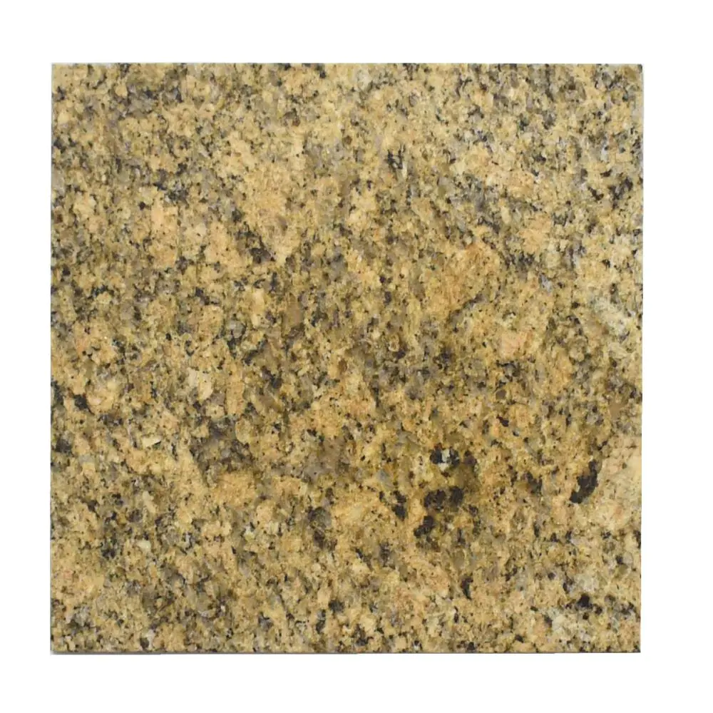 Bodenfliese E3304 Granit beige grau schwarz 30,5x30,5 cm