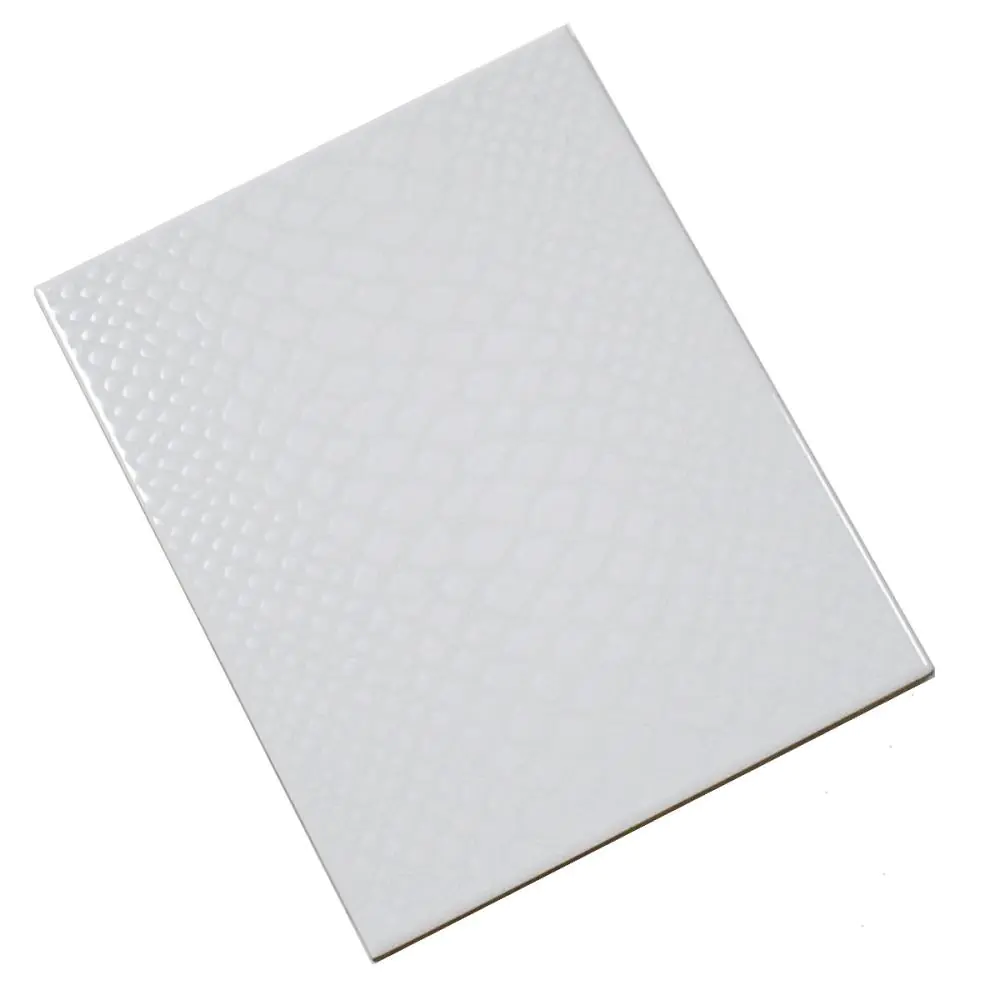 Wandfliese Dekor Extracompact E3293 grau 20x25 cm