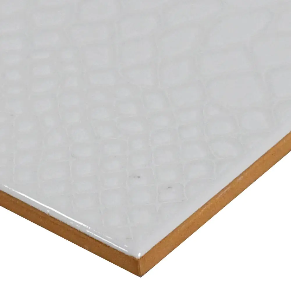 Wandfliese Dekor Extracompact E3293 grau 20x25 cm