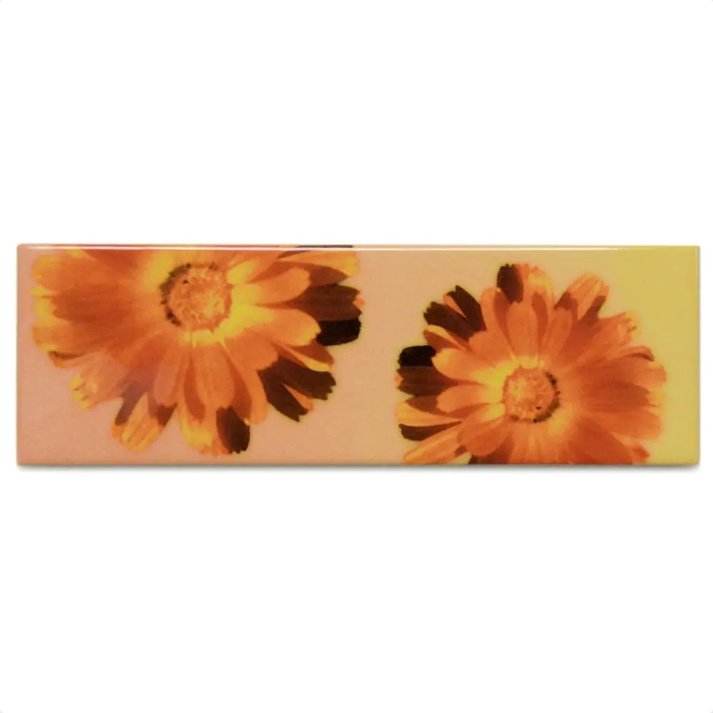 Bordüre Villeroy & Boch 1483 CS61 Creative System rot Blume 6,5x20 cm I.Sorte Bordüre Villeroy & Boch 1483 CS61 Creative System rot Blume 6,5x20 cm I.Sorte