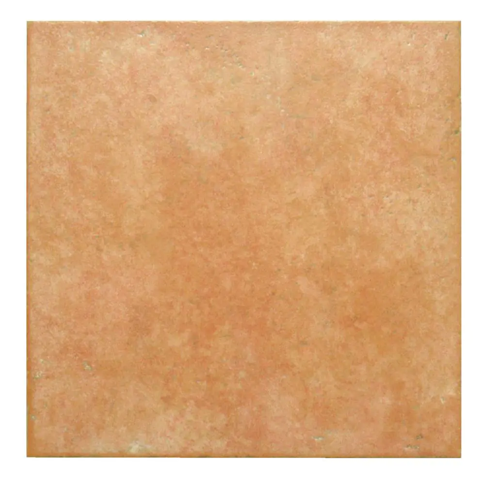 Bodenfliese ACIF E2465 36FN7 cotto orange 36x36 cm